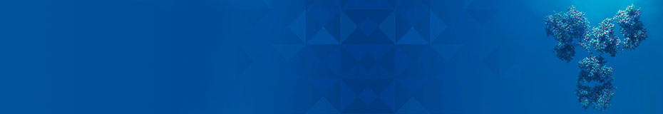 Antibody Engineering & Therapeutics 2020