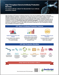 High Throughput Antibody Production
