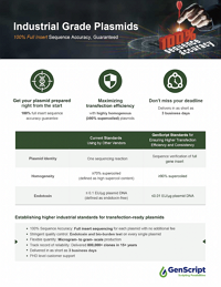 Industrial Grade plasmid service