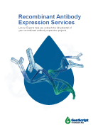 Recombinant Antibody Expression Services