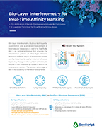 Bio-Layer Interferometry for Real-Time Affinity Ranking