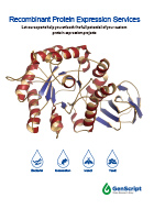 Recombinant Protein Expression Services