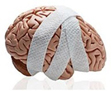 brain picture