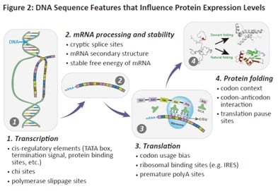 peptide services technical resources