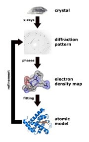 x-ray crystallography, x-ray diffraction, crystal structure