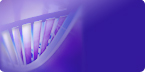 3D DNA biomaterials