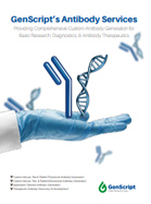 GenScript Antibody Services Brochure