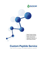 Custom Peptide Services Brochure