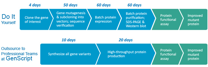 Protein Purification Chart