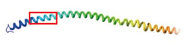 Protein vs Peptide Antigens