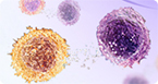 Fusokines, recombinant bioactive cytokines