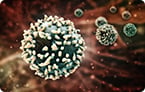 antibiotic resistance, microbiota
