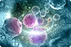 blood-based assay; cancer detection
