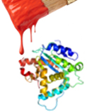 protein-protein interactions, protein interaction drug targets