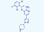 small molecule cancer drug; low-nanomolar inhibitor; anticancer therapy;