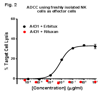 ADCC Case Study<
