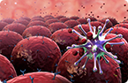 Adjuvant tumor microenvironment, DC Activation CD8+ T cells, Tumor memory dendritic cells