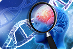 BRCA1, Alzheimer's
