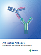Anti-idiotype Antibodies