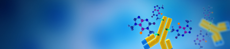 Antibody Drug Discovery Overview