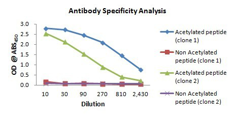 Conventional Protocol antibody specificity analysis Conventional Protocol antibody specificity analysis