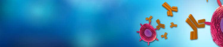 Antigen Production Overview