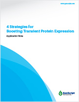Optimizing Recombinant Antibody Expression