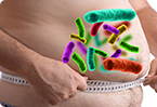 gut bacteria, microbiome, microbiota, obesity, probiotics
