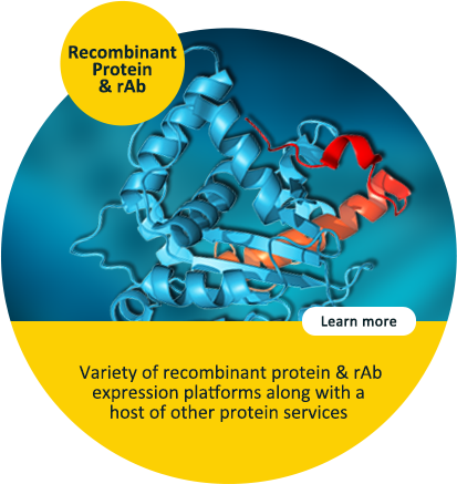 GenScript 15 Years of Innovation Celbration & Awards | GenScript