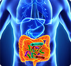 gut microbiome, microbial fingerprint