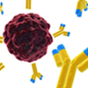 Cancer immunotherapy