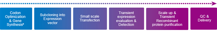 Transient Expression services flowchart Transient Expression services flowchart