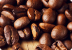 coffee genome, caffeine biosynthesis