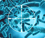 microbial evolution of antibiotic resistance is indirect with delayed commitment to genotypic fate