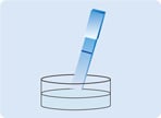 cancer diagnosis, cancer biomarker
