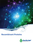 Cytokine Flyer