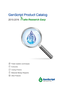 Brochures and Catalogs