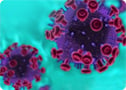 antiviral peptide, HIV entry, viral entry
