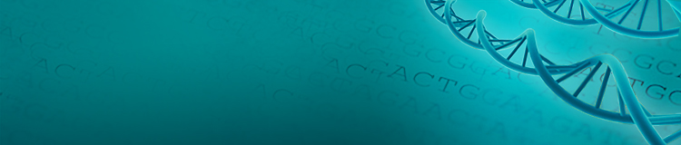 GenPlus™ Economy Gene Synthesis GenPlus™ Economy Gene Synthesis