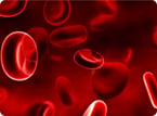tissue engineered bone marrow, platelet differentiation
