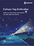 Epitope Tag Antibodies