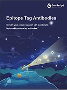 Epitope Tag Antibodies Flyer