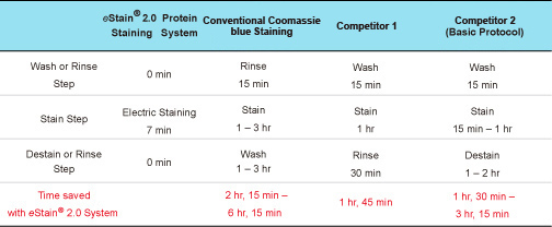 protein staining