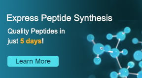 Express Peptide Synthesis
