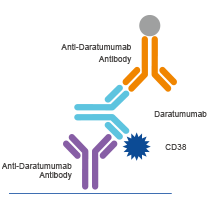 Anti Idiotype Antibody Products Genscript