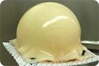 cartilage regeneration