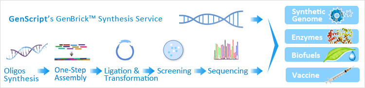 GenBrick DNA Building Blocks for Synthetic Biology enable genome synthesis, metabolic engineering, vaccine research and more.