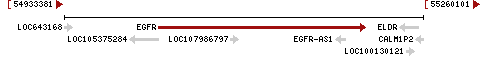 Chromosome 7 - NC_000007.14