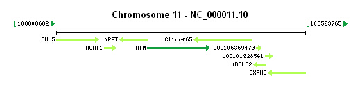 ATM gene Genomic context
