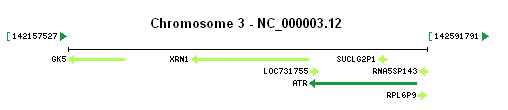 ATR gene Genomic context
